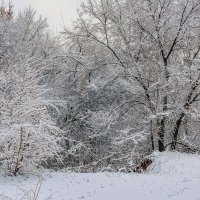 У оврага.. :: Юрий Стародубцев