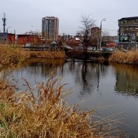 Городское озеро... :: Николай Саржанов