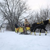 Зимние Суздальские забавы :: Вячеслав Колобовников