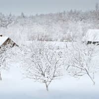 Зима в деревне. :: Вячеслав Колобовников