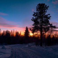 Окресности Ухты, январский закат. Коми :: Николай Зиновьев