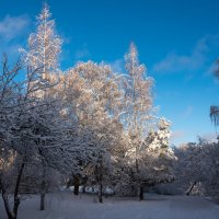 **** :: Владимир Безбородов