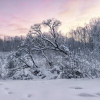 Зима :: Владимир Колесников