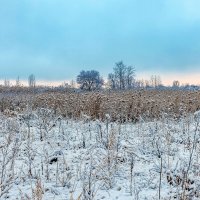 Когда наступает рассвет.. :: Юрий Стародубцев