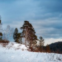 Нам всегда чего то не хватает, зимою лета ... :: Вадим Басов