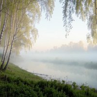 На природе с ИИ :: Роман Савоцкий