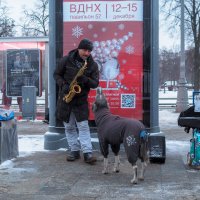 ***** :: юрий поляков