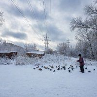 Дед кормит птиц :: Александр Синдерёв