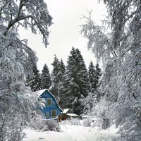 Снежное безмолвие :: Ирина Румянцева