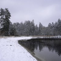 Выпал первый снег :: Валерий VRN