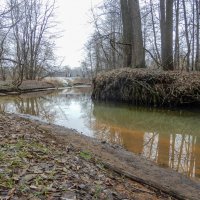 вода корни моет :: Сергей Лындин