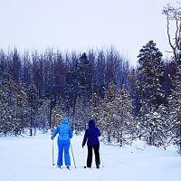 Январь...Двое на лыжне! :: Владимир 