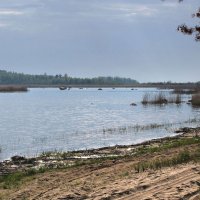 Ладожское озеро :: Александр Ильчевский 