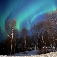 Я в "Nordnorvegen"... лыжный туризм в Северной  Норвегии. :: "The Natural World" Александер