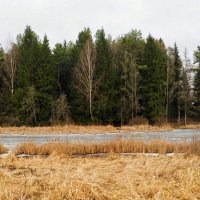 Последний день января (репортаж из поездок по области ). :: Милешкин Владимир Алексеевич 