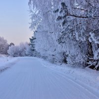 Серебро Сибири :: Владимир Звягин