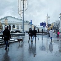 Январские лужи портят убранство зимы :: Татьяна Помогалова