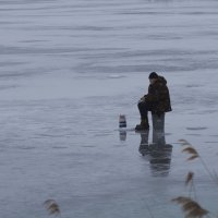 Теплый январь :: Пасечник 