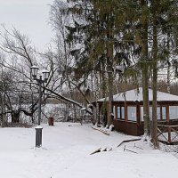 Февральский снег :: Мария Васильева