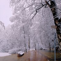 Затопленный парк :: Сергей Кочнев