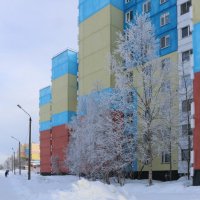 Зима в городе :: Ольга 