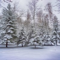 Городской парк :: Татьяна *