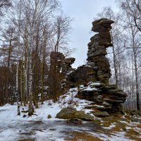 В ноябрьский пасмурный денёк. :: Юрий кот