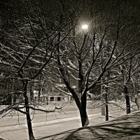 Город в ночи... :: Александр Шимохин