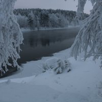 Пятьдесят оттенков серого :: Ольга 