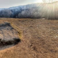 В Царицыно :: Наталья Лакомова