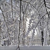 Зимние кружева! :: Надежда 