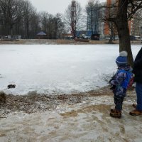 Как зиму ни снимай, получается ноябрь :: Андрей Лукьянов