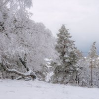 Хмурый январь :: Наталья Димова