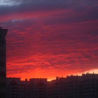 ... :: Александр Кольцов