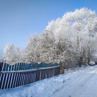 зима пришла в феврале :: Роман никандров