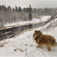 Прогулка :: Валерия Яскович