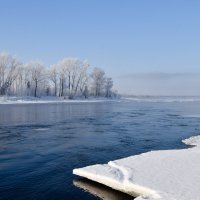 На протоке Енисея :: Владимир Звягин