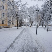 Зимняя дорога на городской улице :: Александр Синдерёв