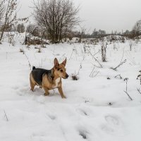 Вижу цель :: Елена Пономарева