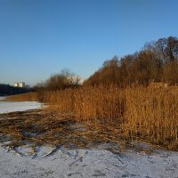 Ну, в общем, февраль :: Андрей Лукьянов