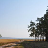 Спуск к Волге, правый берег :: **** vedin