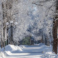 Сюрпризы зимы :: Наталья Димова