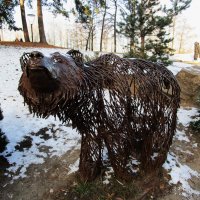 В парках Воронежа :: Елена Шаламова