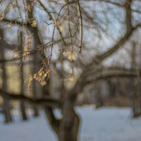 Зимний вечер :: А кузнецов