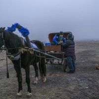 Современная оплата за древний транспорт :: Сергей Цветков