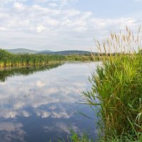 Летнее утро на реке Миасс. :: Алексей Трухин