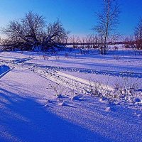 Январь...На перекрестке снегоходных дорог! :: Владимир 