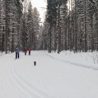 Всей семьёй, на лыжню :: Виктор 