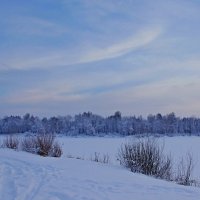 На озере :: Сергей Швечков На озере :: Сергей Швечков