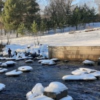 Сестрорецк. Водосливной канал :: Наталья Герасимова